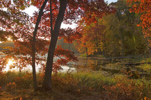 Lake Marie